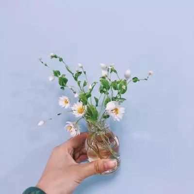 大宋风云录手游下载