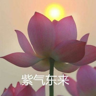 新世界的神手游九游版下载